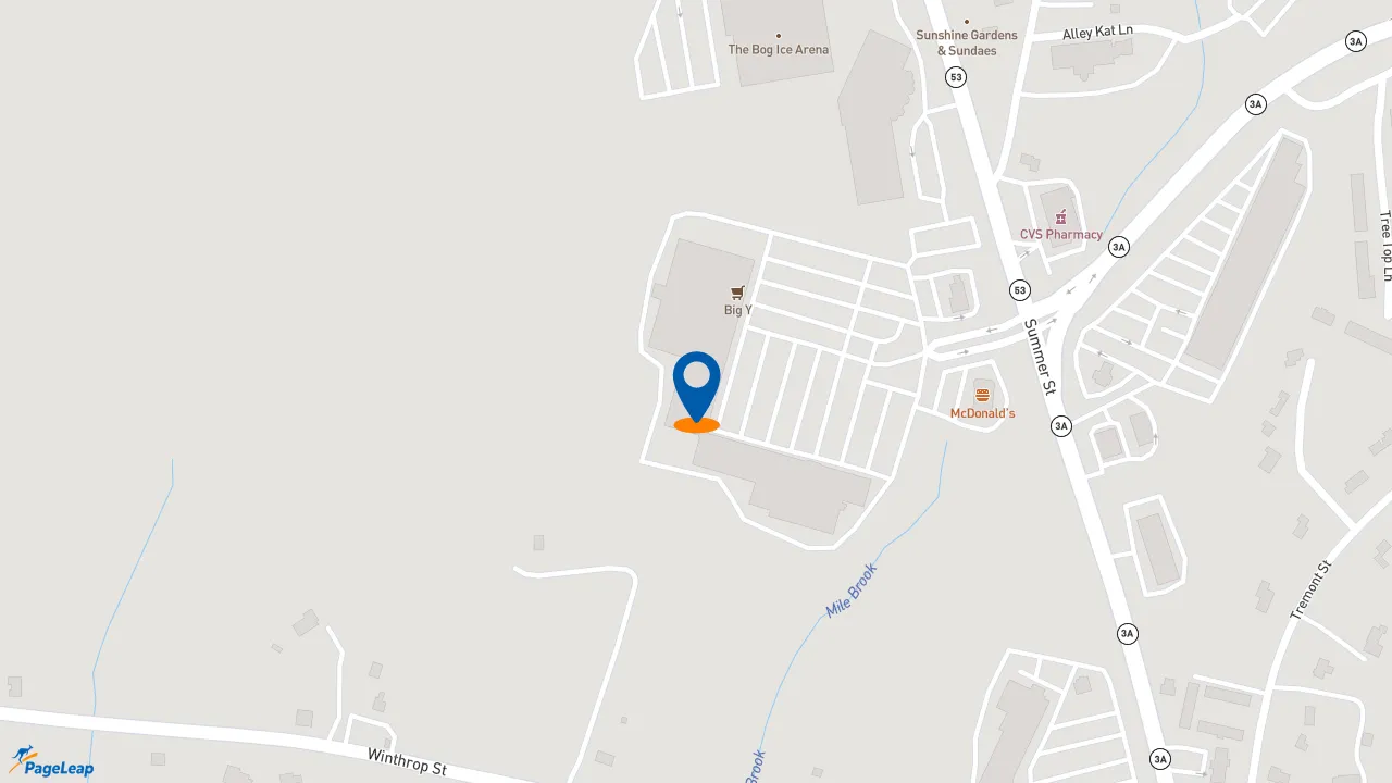 https://pageleap.com map showing location of Papa Gino’s and D’Angelo Grilled Sandwiches in Kingston.