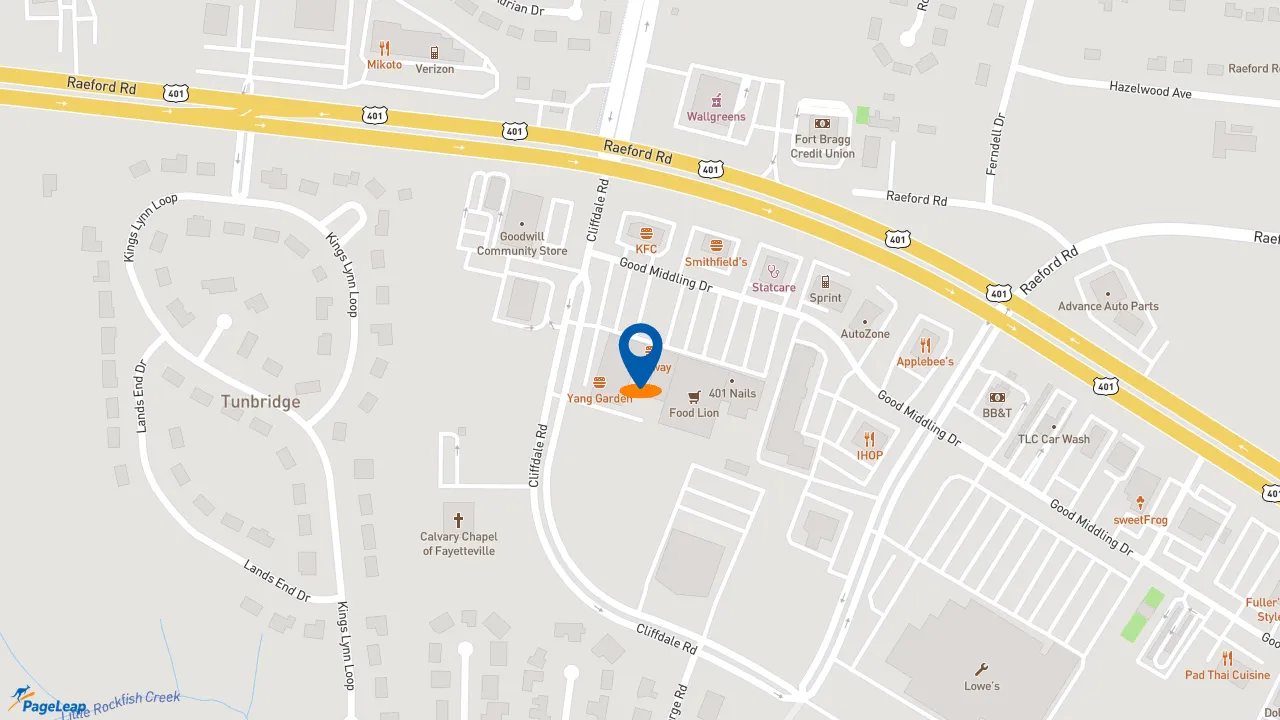PageLeap.com map showing location of Pizza Hut in Fayetteville.