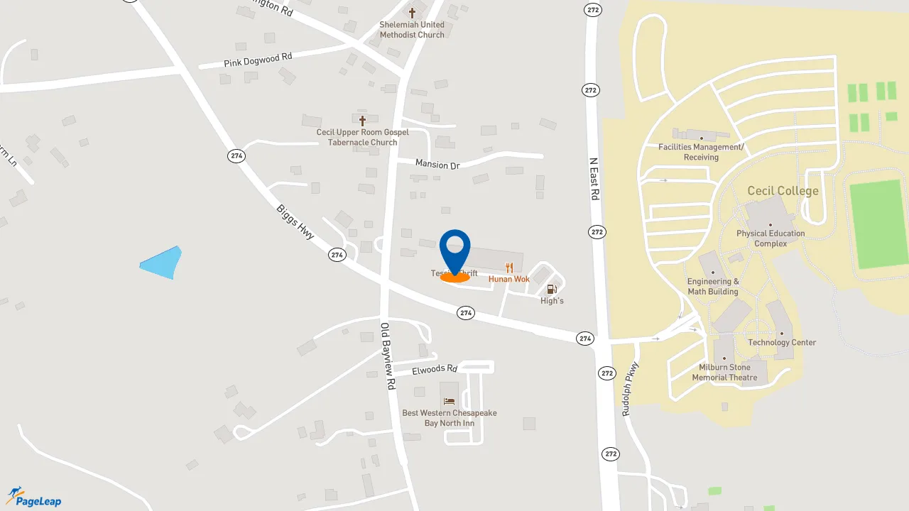 https://pageleap.com map showing location of Pizza Hut in North East.