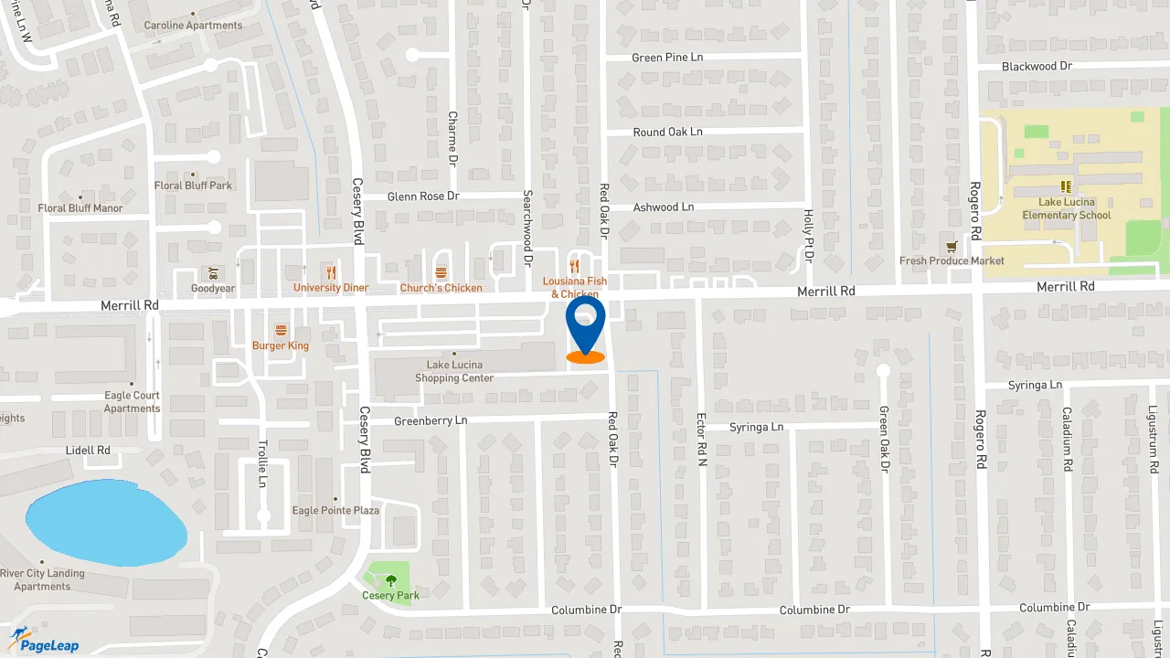 https://pageleap.com map showing location of Pizza Hut in Jacksonville.