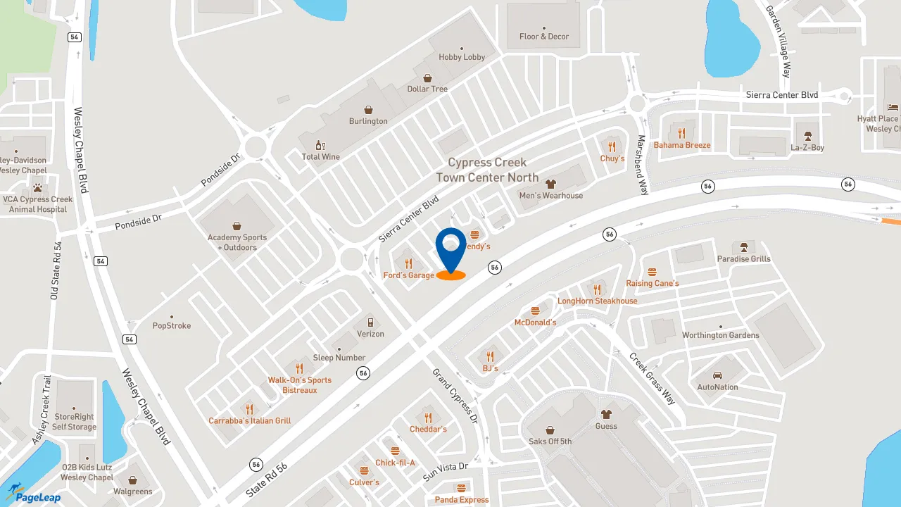 https://pageleap.com map showing location of Pollo Tropical in Lutz.