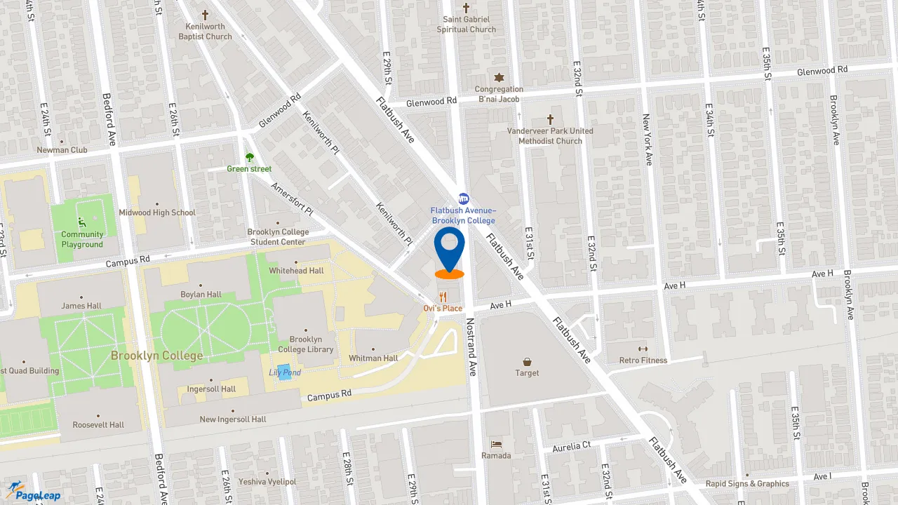 https://pageleap.com map showing location of Popeyes Louisiana Kitchen in Brooklyn.