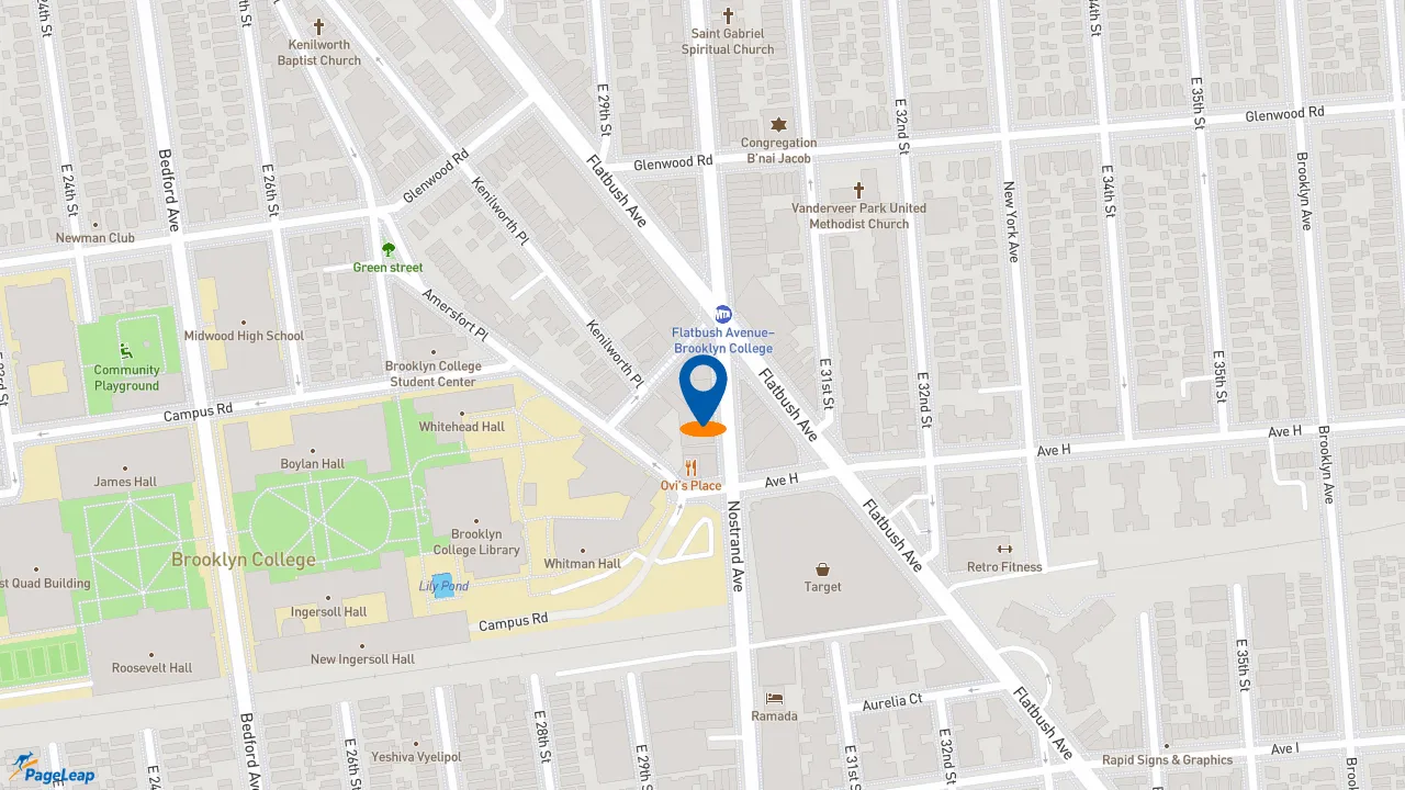 https://pageleap.com map showing location of Popeyes Louisiana Kitchen in Brooklyn.