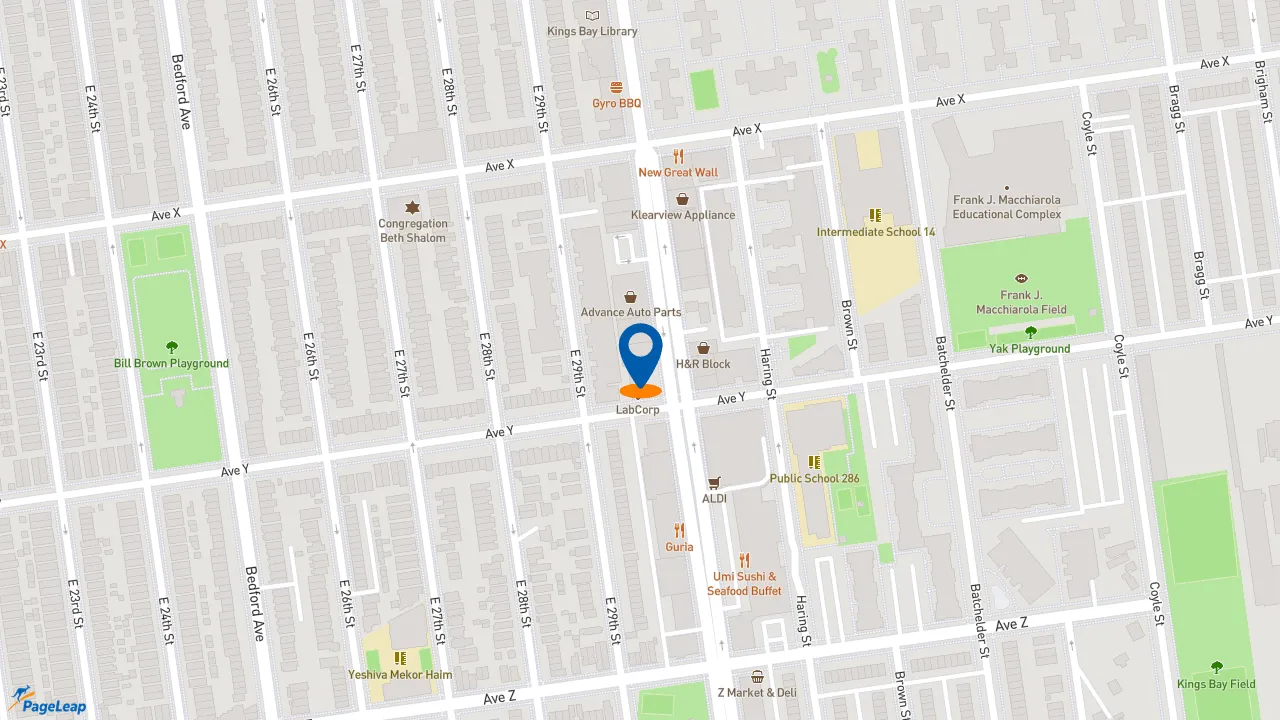 https://pageleap.com map showing location of Popeyes Louisiana Kitchen in Brooklyn.