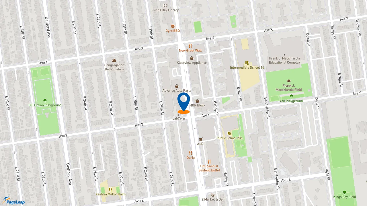 https://pageleap.com map showing location of Popeyes Louisiana Kitchen in Brooklyn.