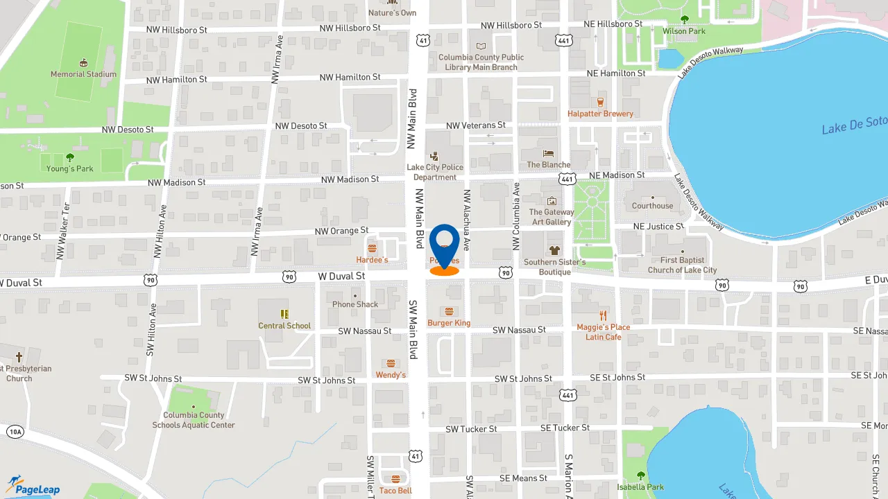 https://pageleap.com map showing location of Popeyes Louisiana Kitchen in Lake City.