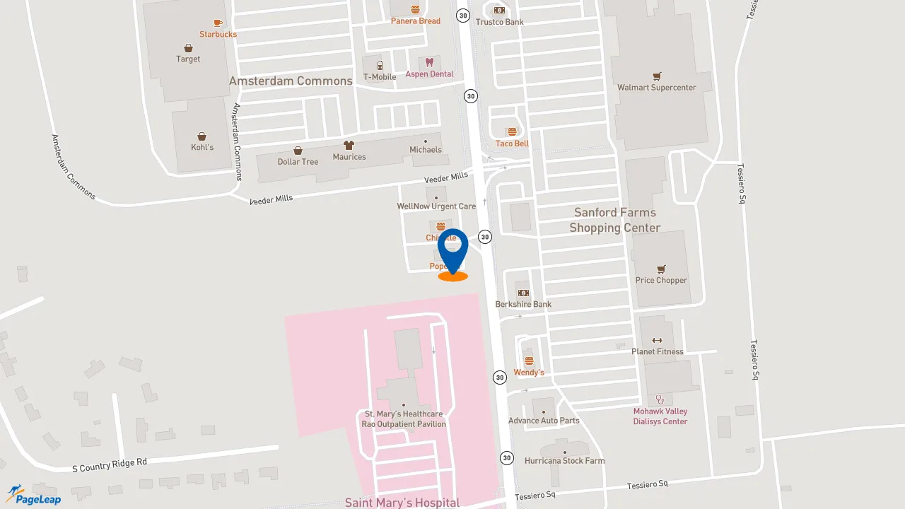 https://pageleap.com map showing location of Popeyes Louisiana Kitchen in Amsterdam.