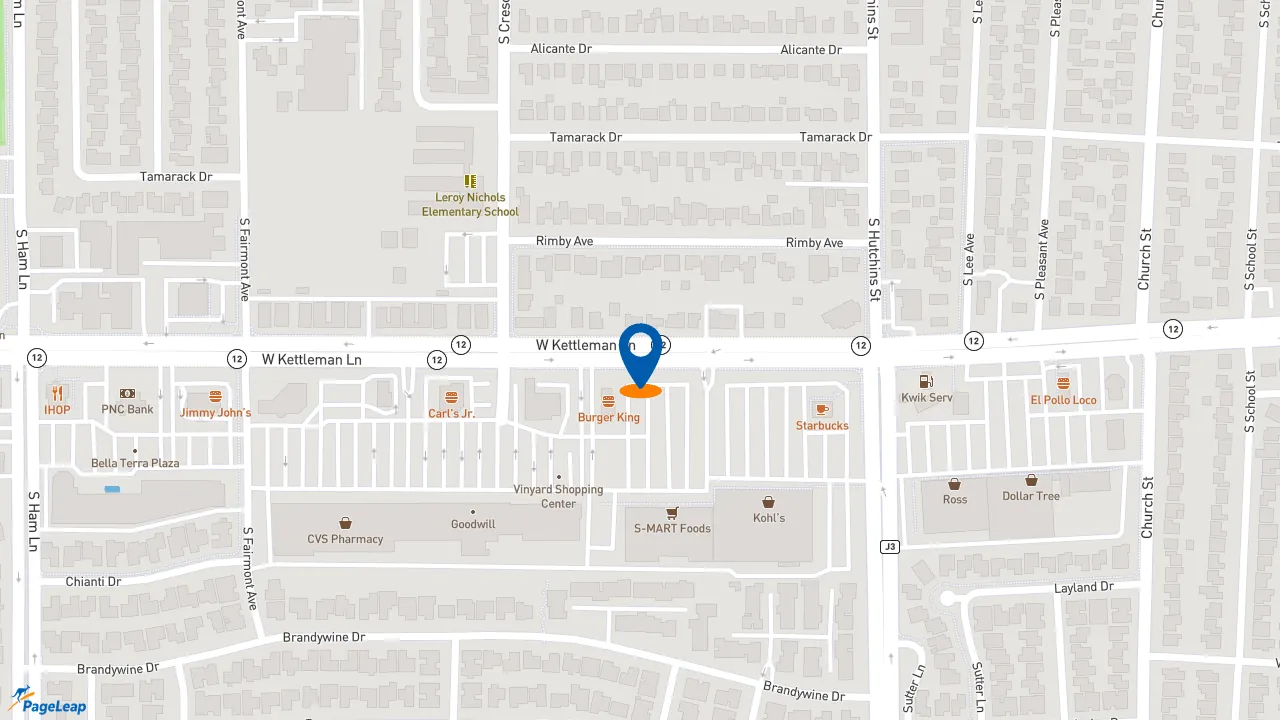 https://pageleap.com map showing location of Raising Cane&#039;s Chicken Fingers in Lodi.
