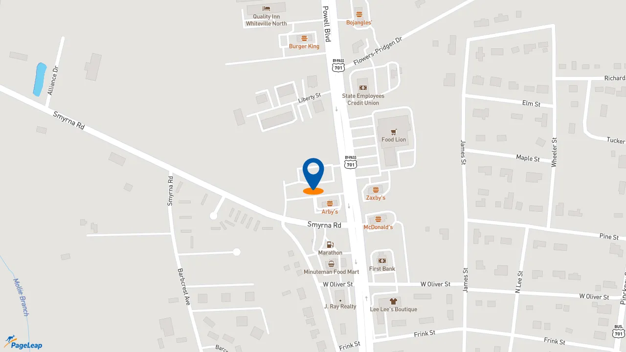 https://pageleap.com map showing location of Smithfield&#039;s Chicken &#039;N Bar-B-Q in Whiteville.