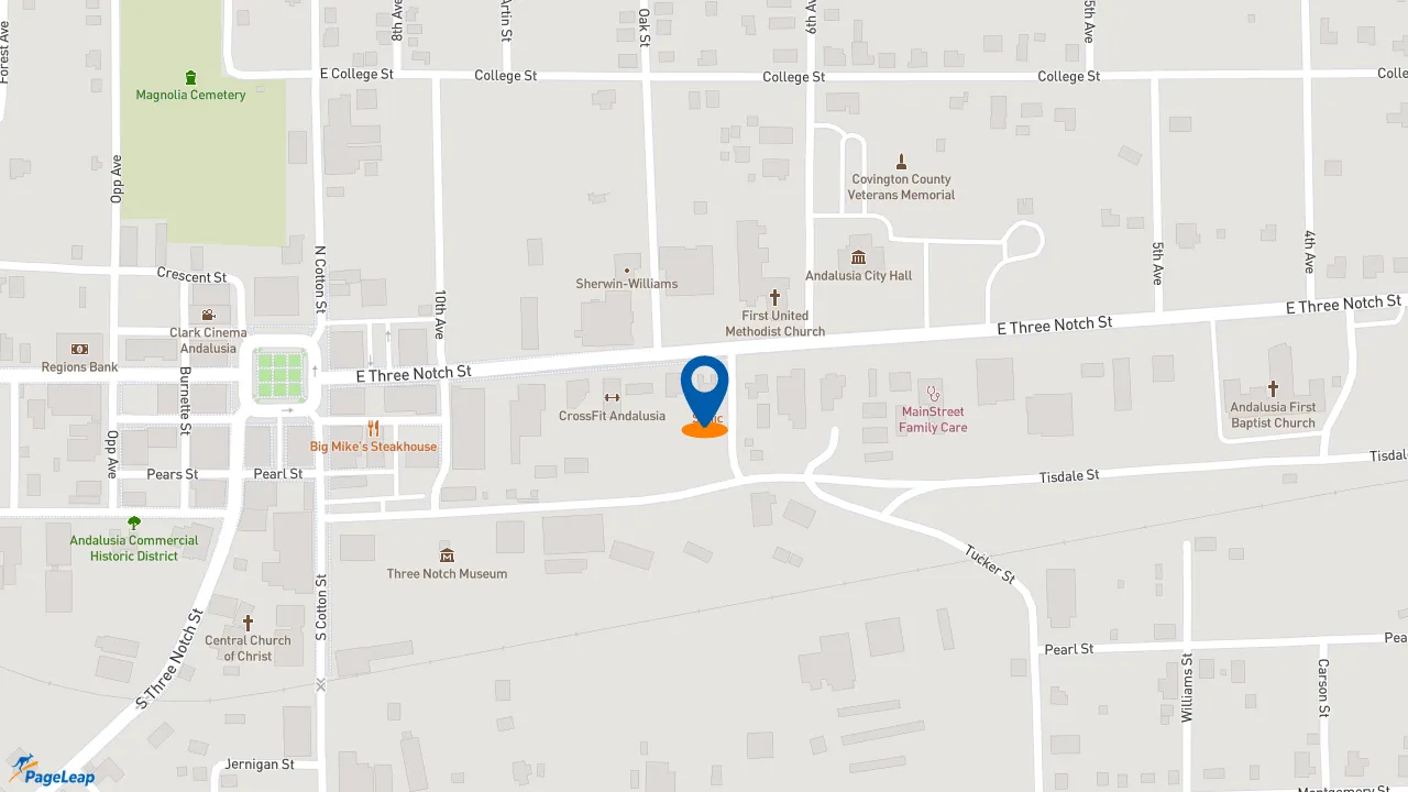 https://pageleap.com map showing location of Sonic Drive-In in Andalusia.