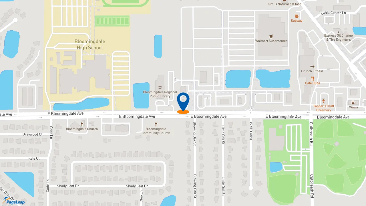 https://pageleap.com map showing location of Starbucks in Valrico.