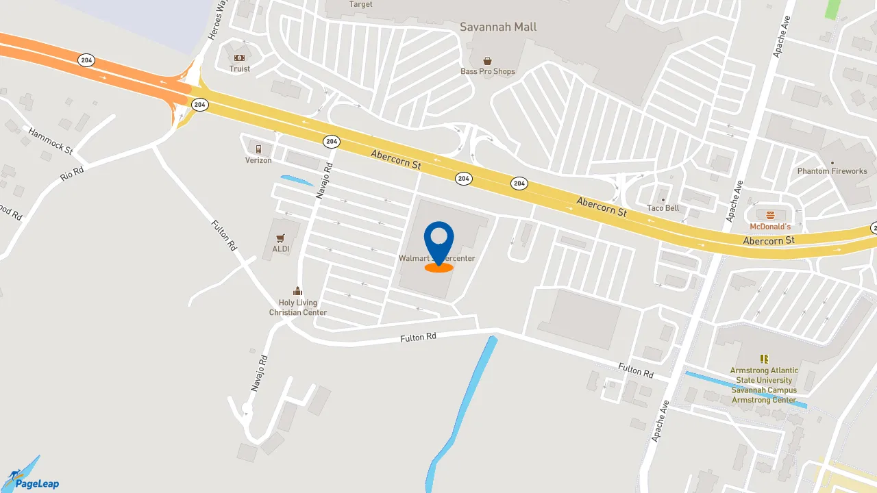 https://pageleap.com map showing location of Subway in Savannah.