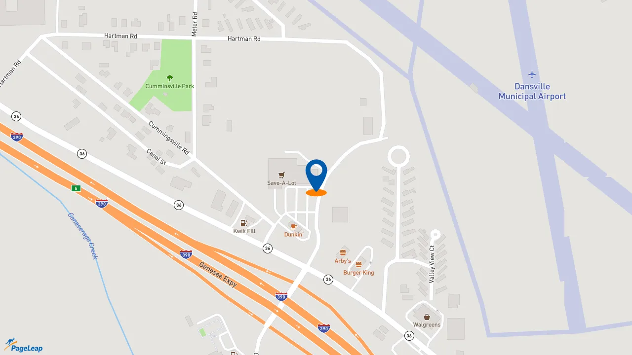 https://pageleap.com map showing location of Subway in Dansville.