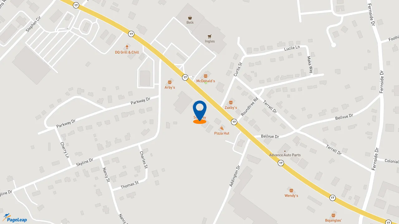 https://pageleap.com map showing location of Subway in Toccoa.