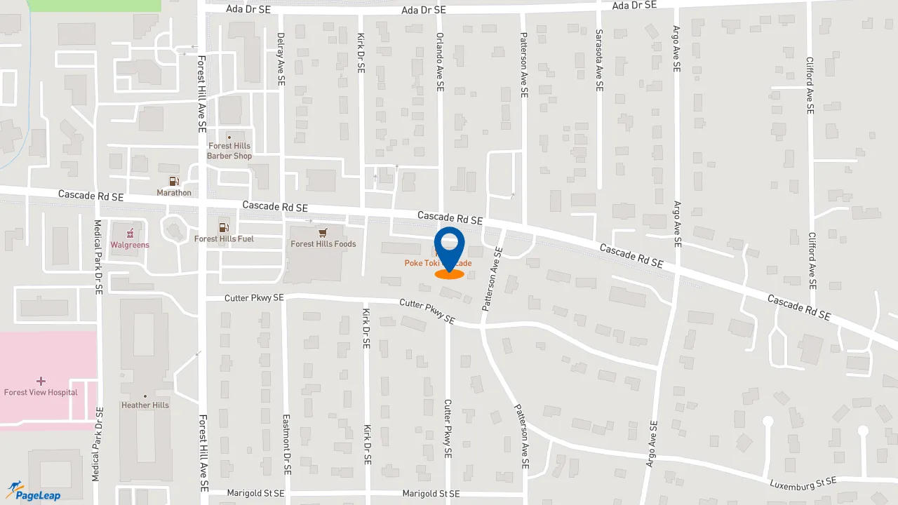 https://pageleap.com map showing location of Subway in Grand Rapids.