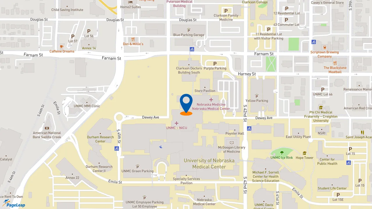 https://pageleap.com map showing location of Subway in Omaha.