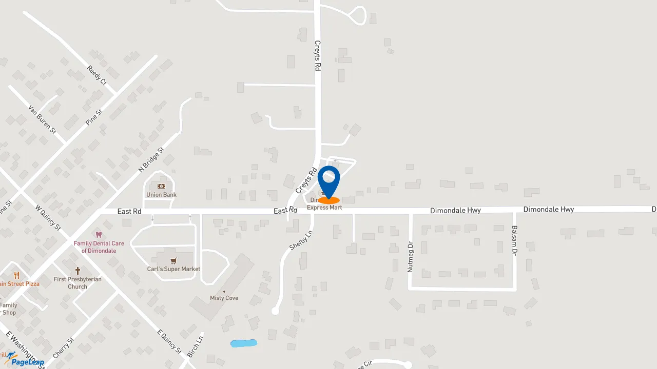 https://pageleap.com map showing location of Subway in Dimondale.