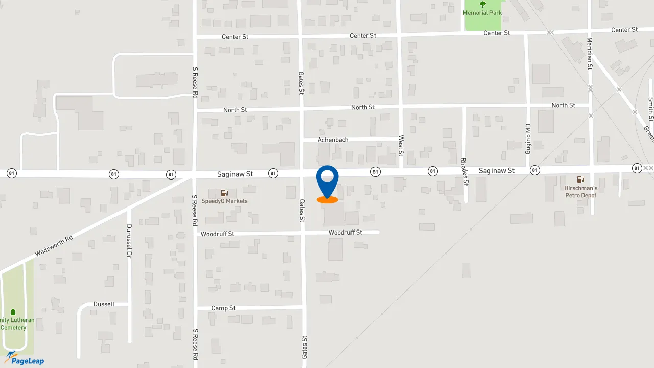 https://pageleap.com map showing location of Subway in Reese.