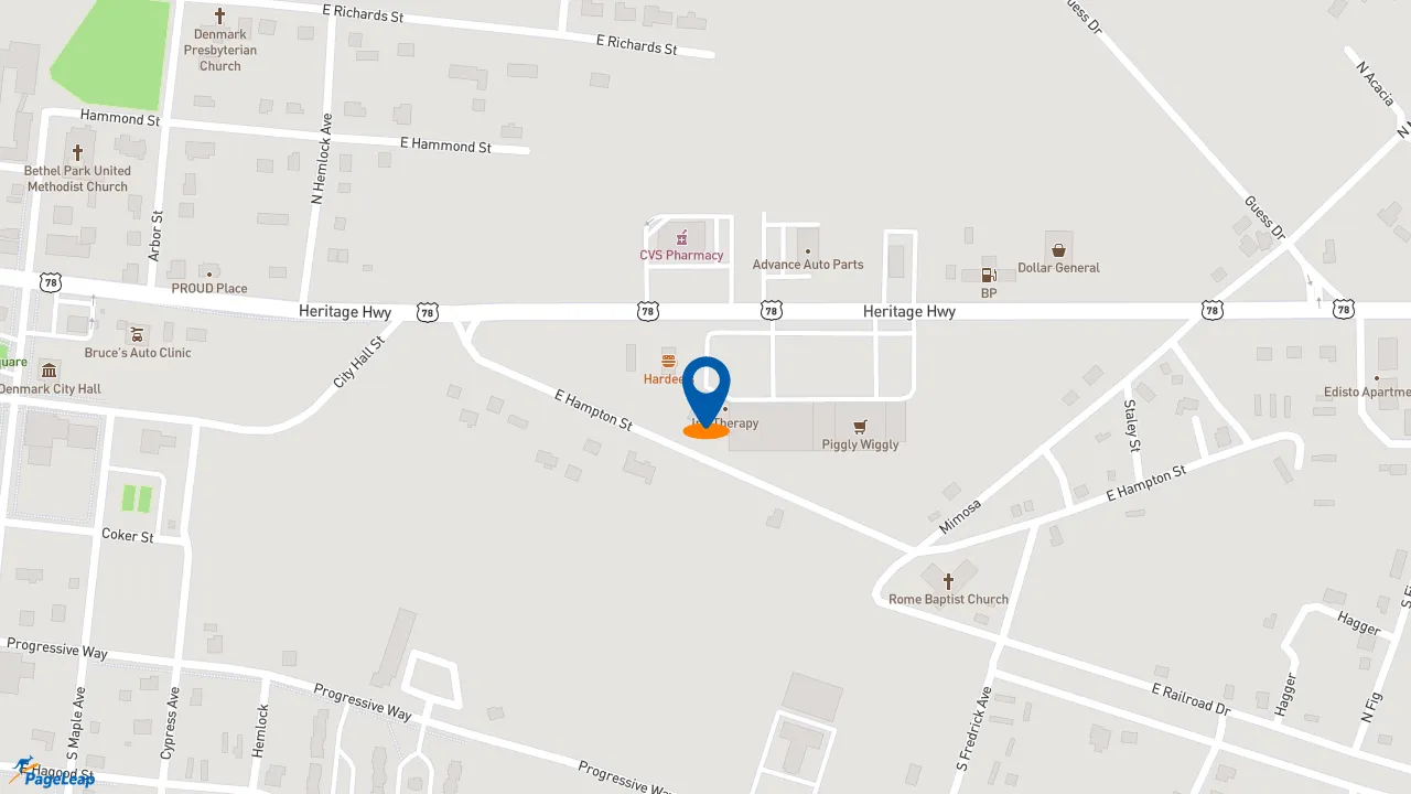 https://pageleap.com map showing location of Subway in Denmark.