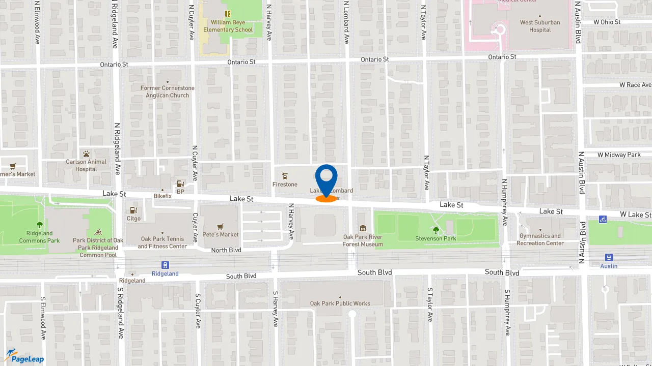 https://pageleap.com map showing location of Subway in Oak Park.
