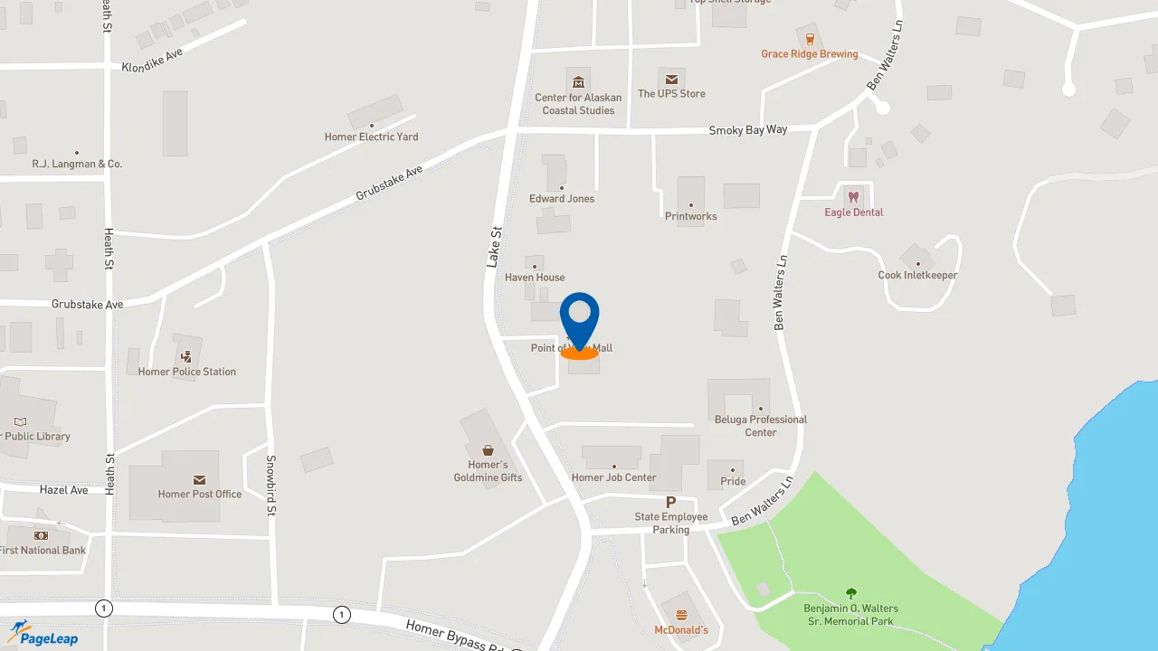 https://pageleap.com map showing location of Subway in Homer.