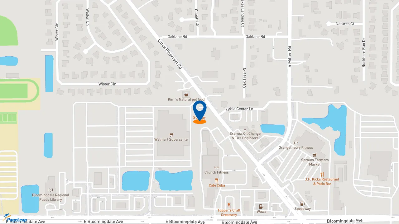 https://pageleap.com map showing location of Subway in Valrico.