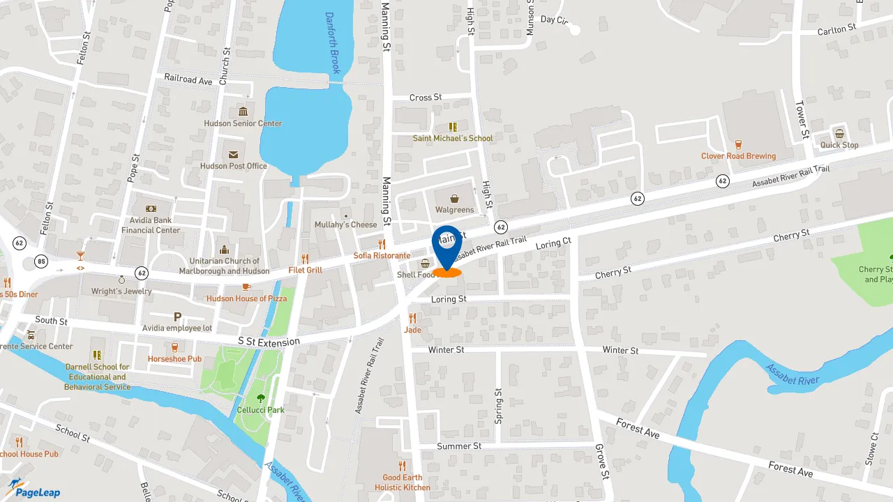 https://pageleap.com map showing location of Subway in Hudson.