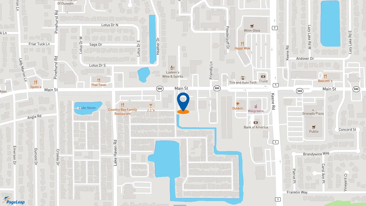 https://pageleap.com map showing location of Subway in Dunedin.