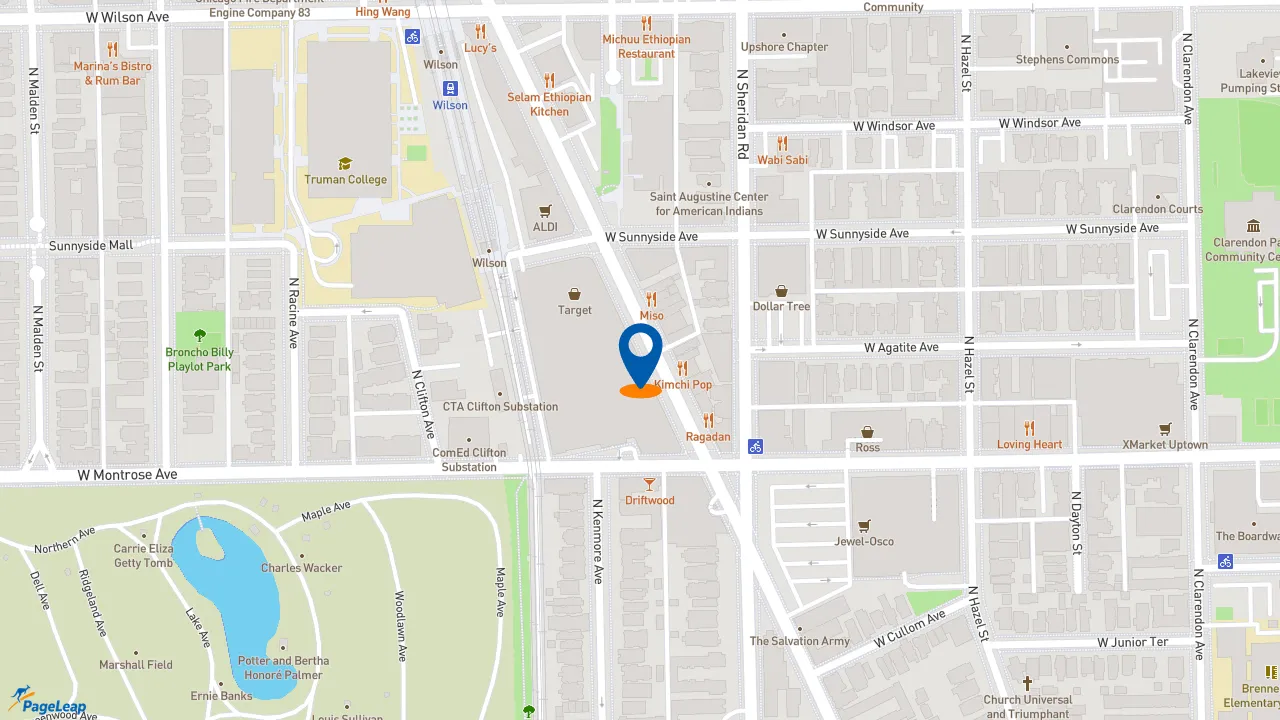 https://pageleap.com map showing location of Subway in Chicago.