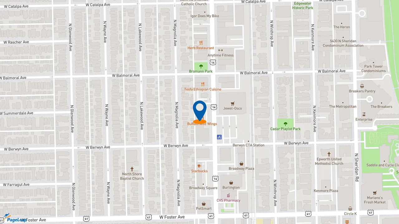 https://pageleap.com map showing location of Subway in Chicago.
