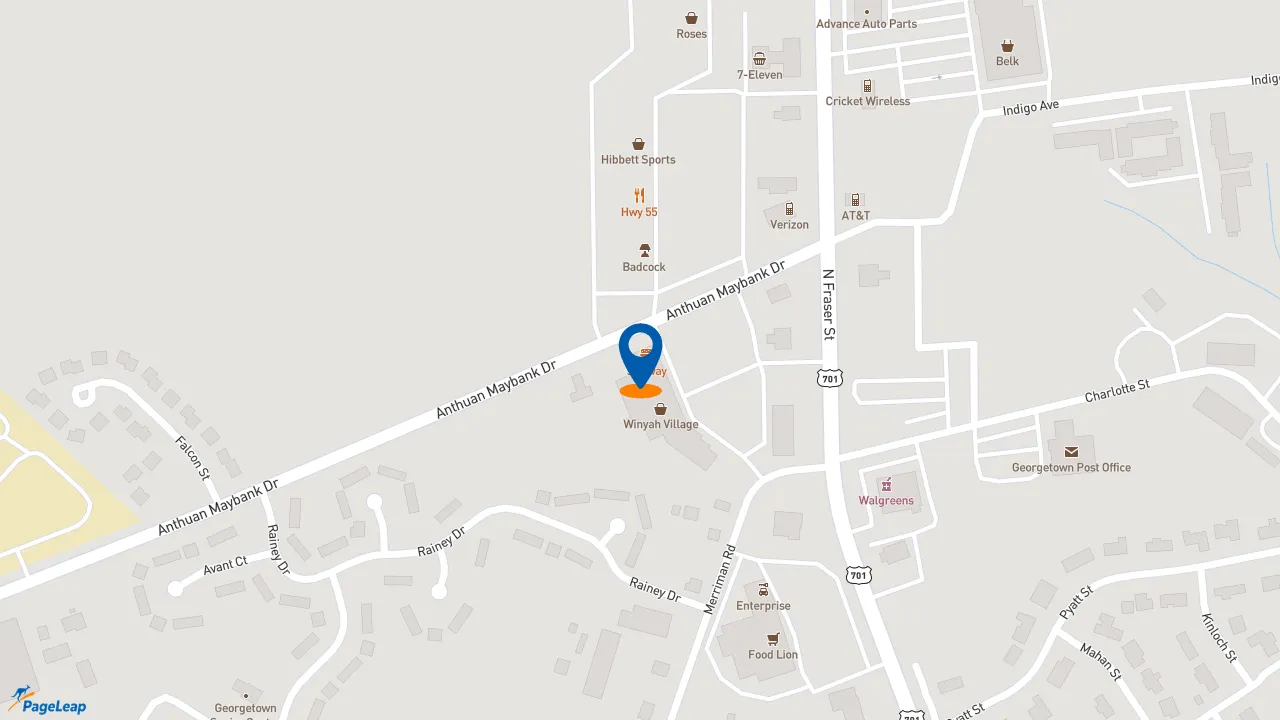 https://pageleap.com map showing location of Subway in Georgetown.