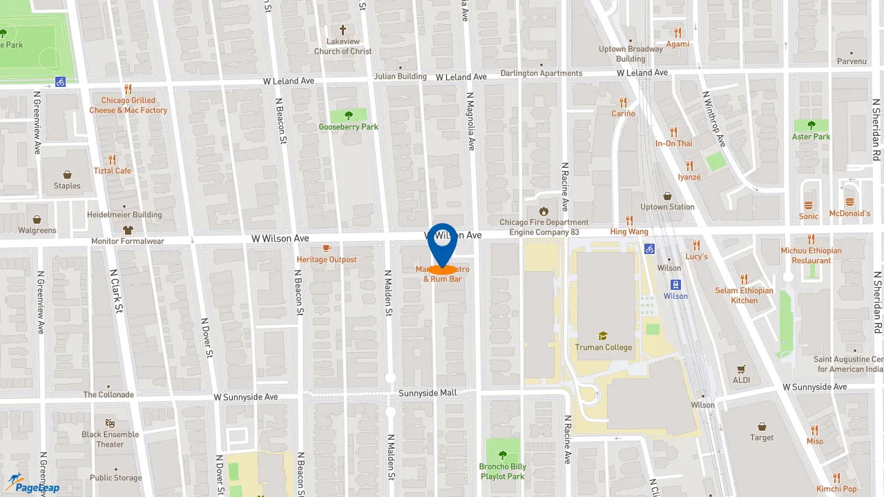 https://pageleap.com map showing location of Subway in Chicago.