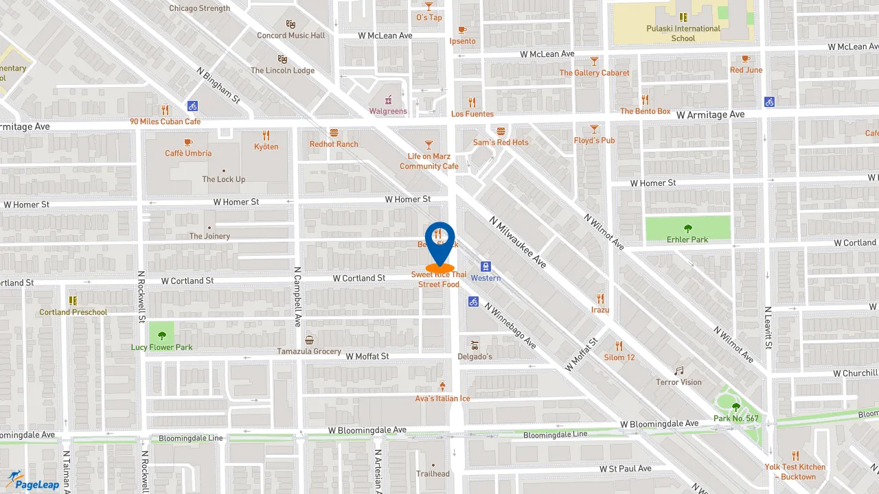 https://pageleap.com map showing location of Subway in Chicago.