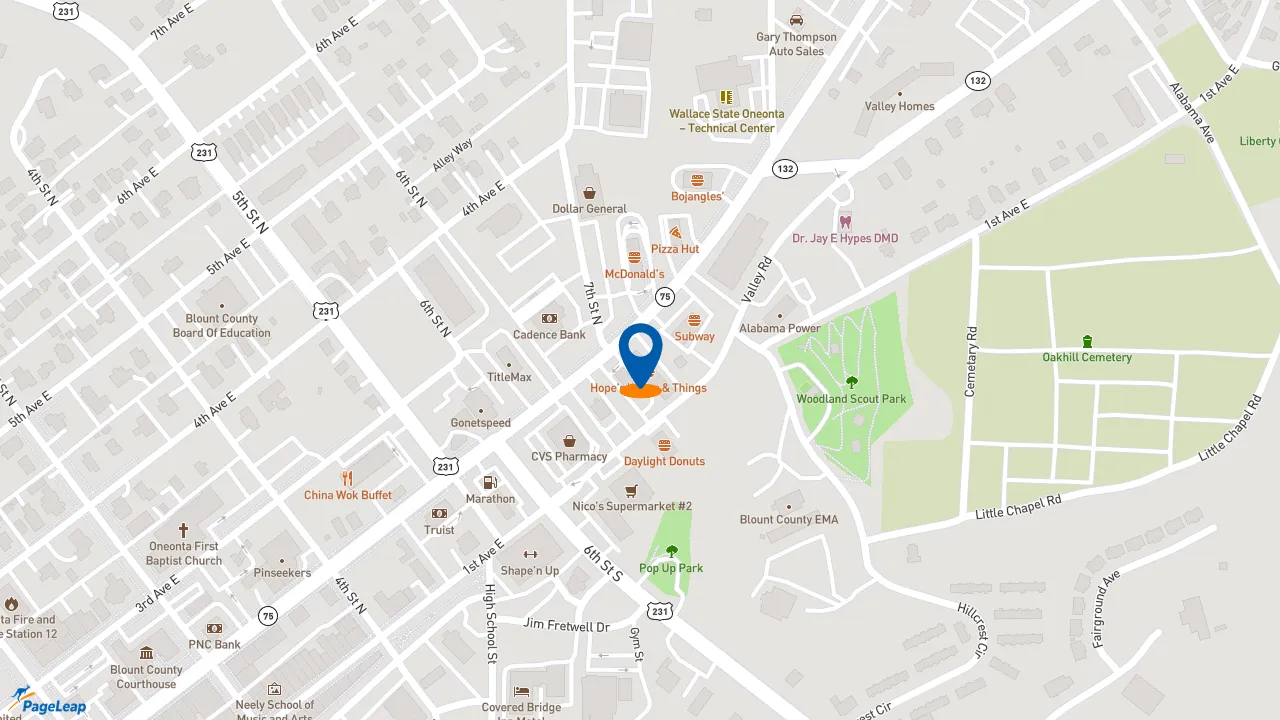 https://pageleap.com map showing location of Subway in Oneonta.