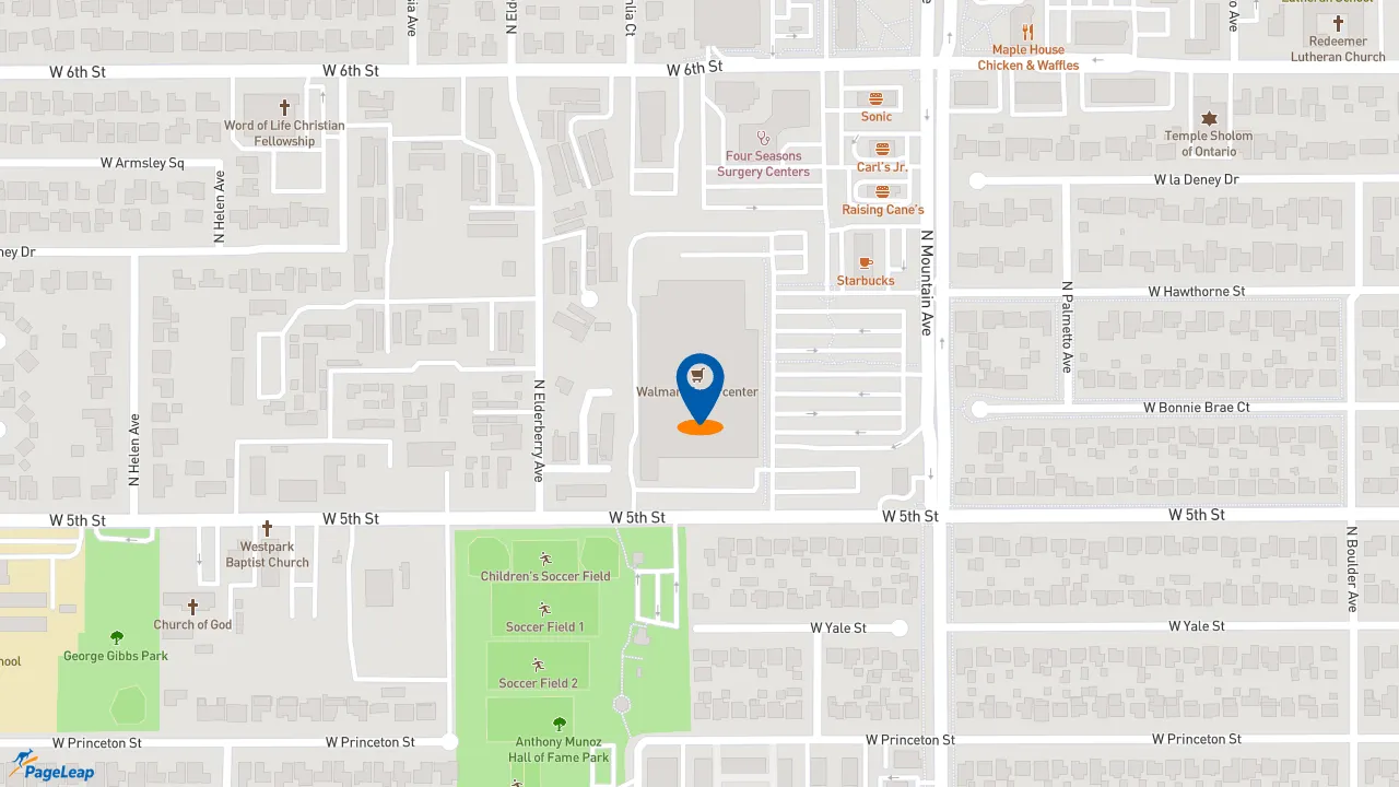 https://pageleap.com map showing location of Subway in Ontario.