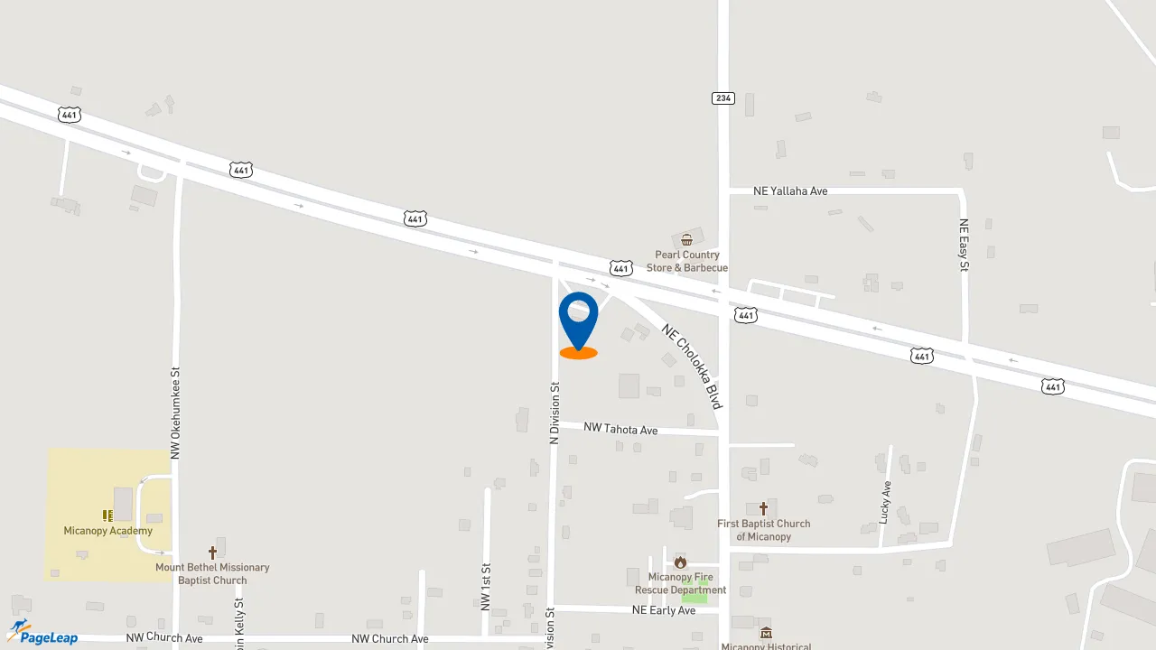 https://pageleap.com map showing location of Subway in Micanopy.