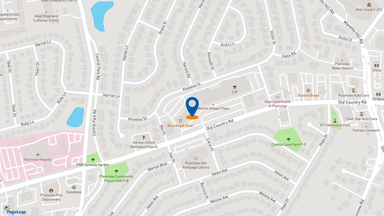 https://pageleap.com map showing location of Subway in Plainview.