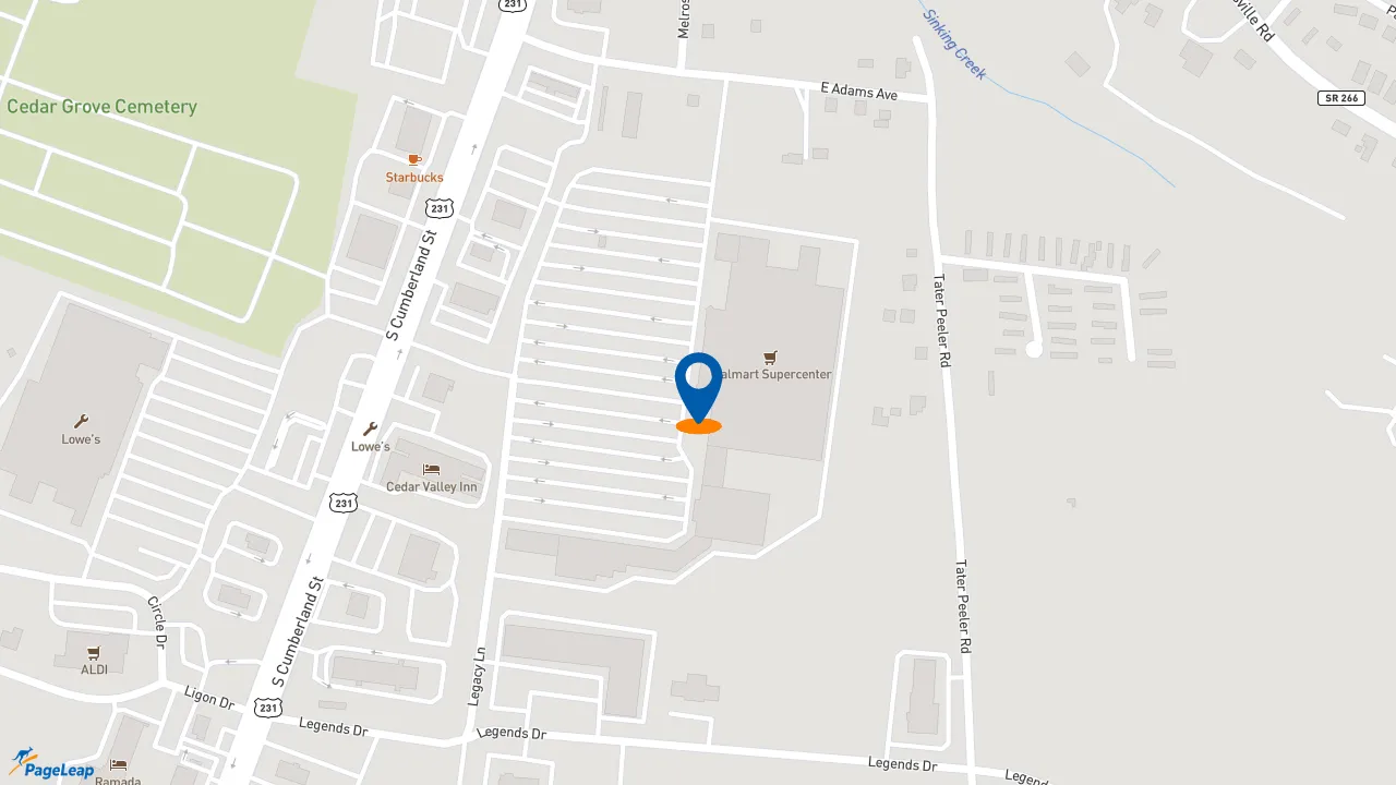 https://pageleap.com map showing location of Subway in Lebanon.