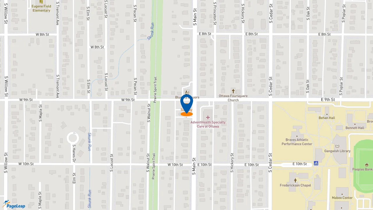 https://pageleap.com map showing location of Subway in Ottawa.