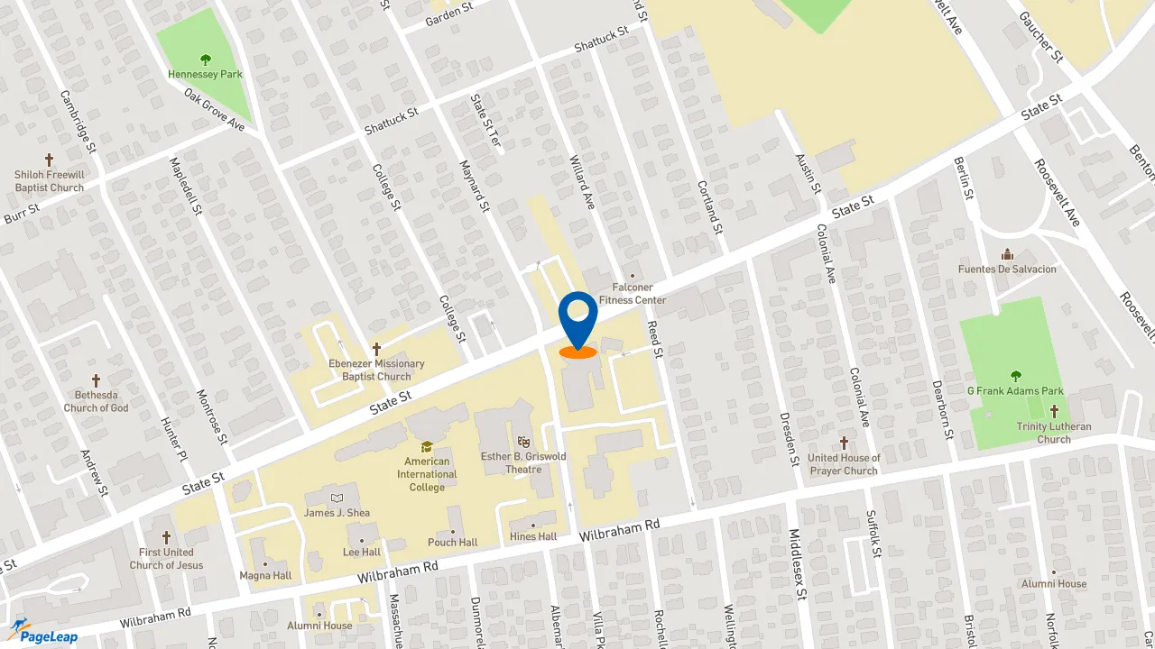 https://pageleap.com map showing location of Subway in Springfield.