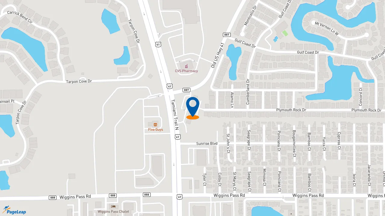 https://pageleap.com map showing location of Subway in Naples.
