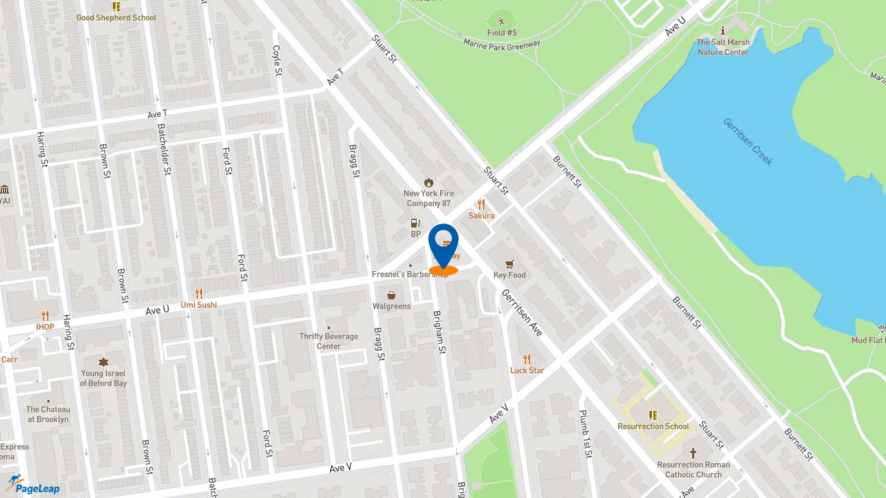 https://pageleap.com map showing location of Subway in Brooklyn.