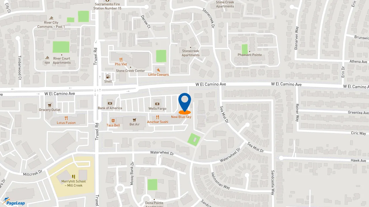 https://pageleap.com map showing location of Subway in Sacramento.
