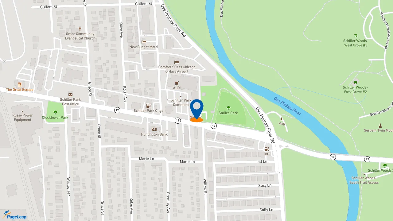https://pageleap.com map showing location of Subway in Schiller Park.