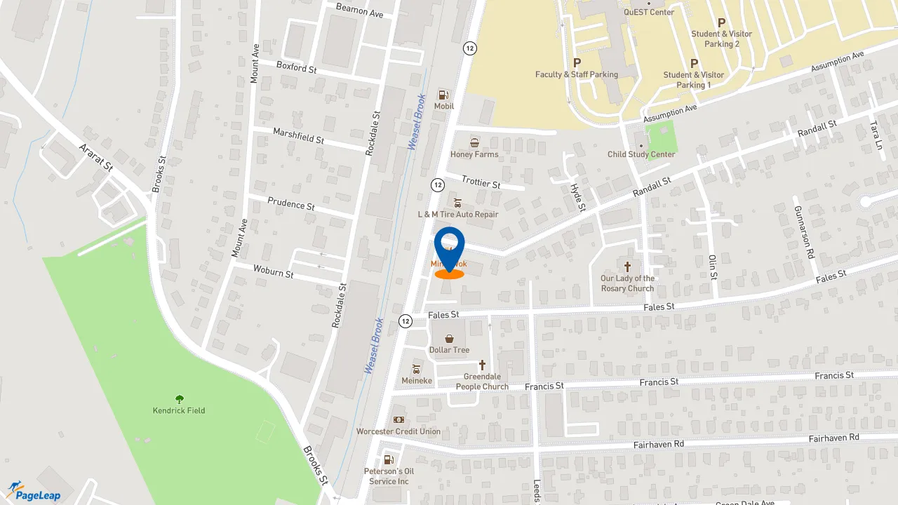 https://pageleap.com map showing location of Subway in Worcester.