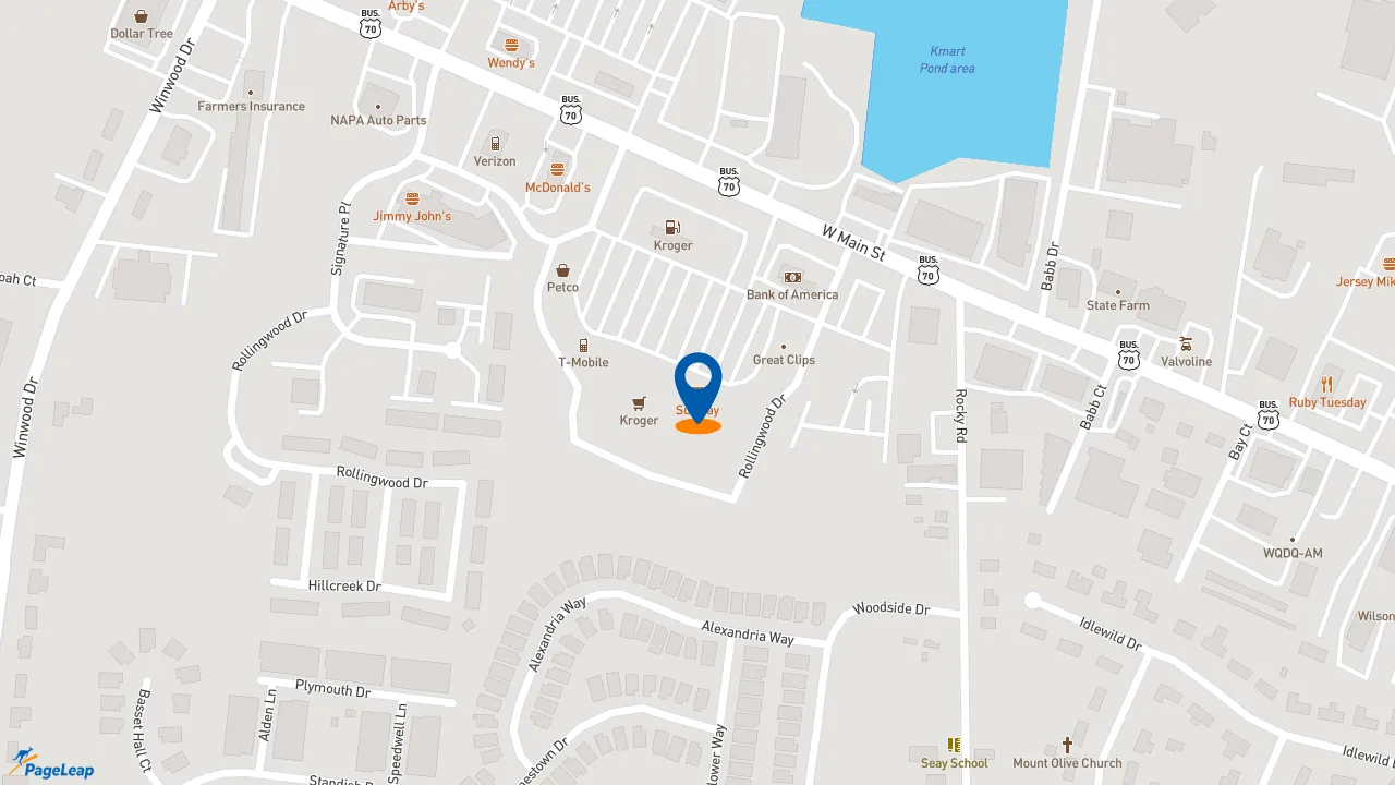 https://pageleap.com map showing location of Subway in Lebanon.