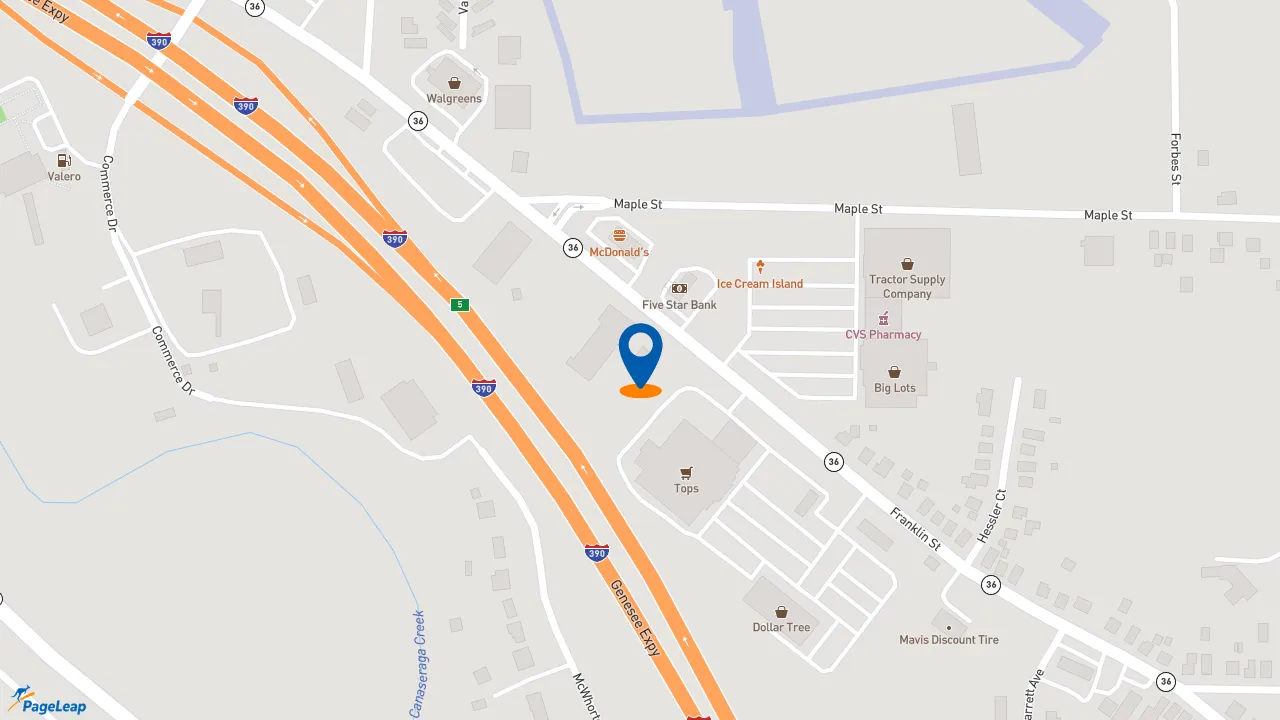https://pageleap.com map showing location of Taco Bell in Dansville.