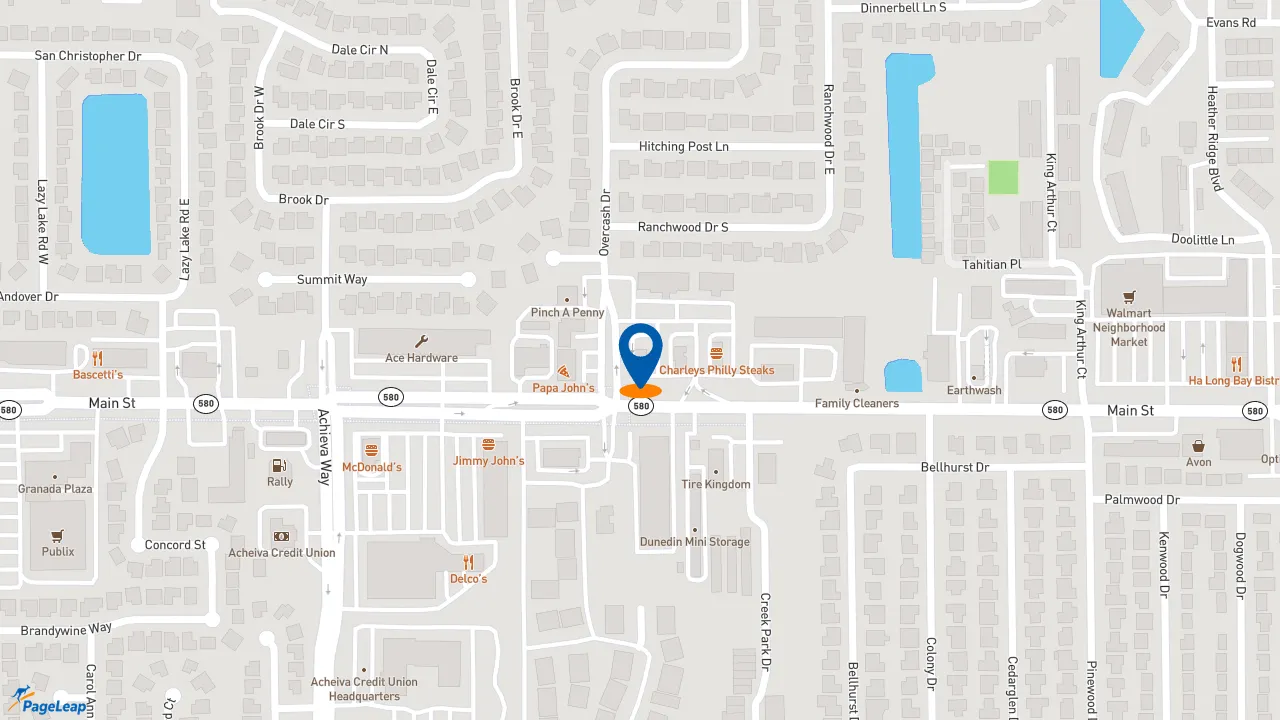 https://pageleap.com map showing location of Taco Bell in Dunedin.