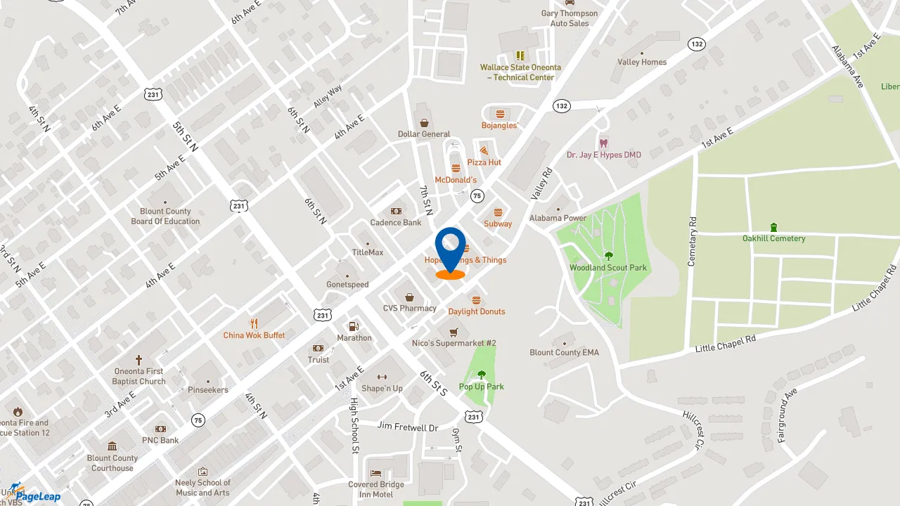 https://pageleap.com map showing location of Taco Bell in Oneonta.
