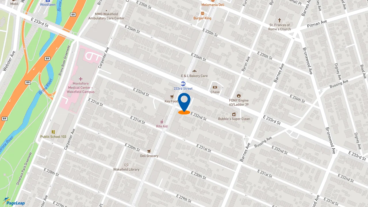 https://pageleap.com map showing location of Taco Bell in Bronx.